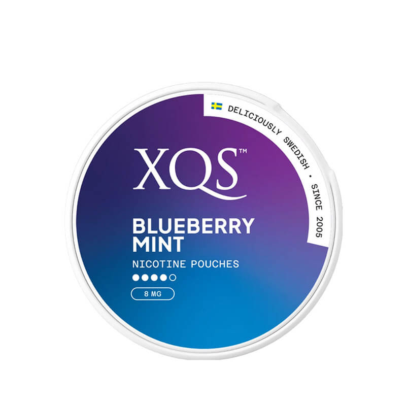 XQS Blueberry Mint Nicotine Pouches - 8mg/Pouch